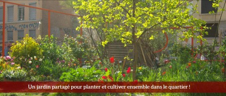 Jardins partagés