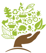 Logo Pépinière d'Initiatives Citoyennes sans texte la pépinière d'initiatives citoyennes à besoin de vos dons pour perdurer