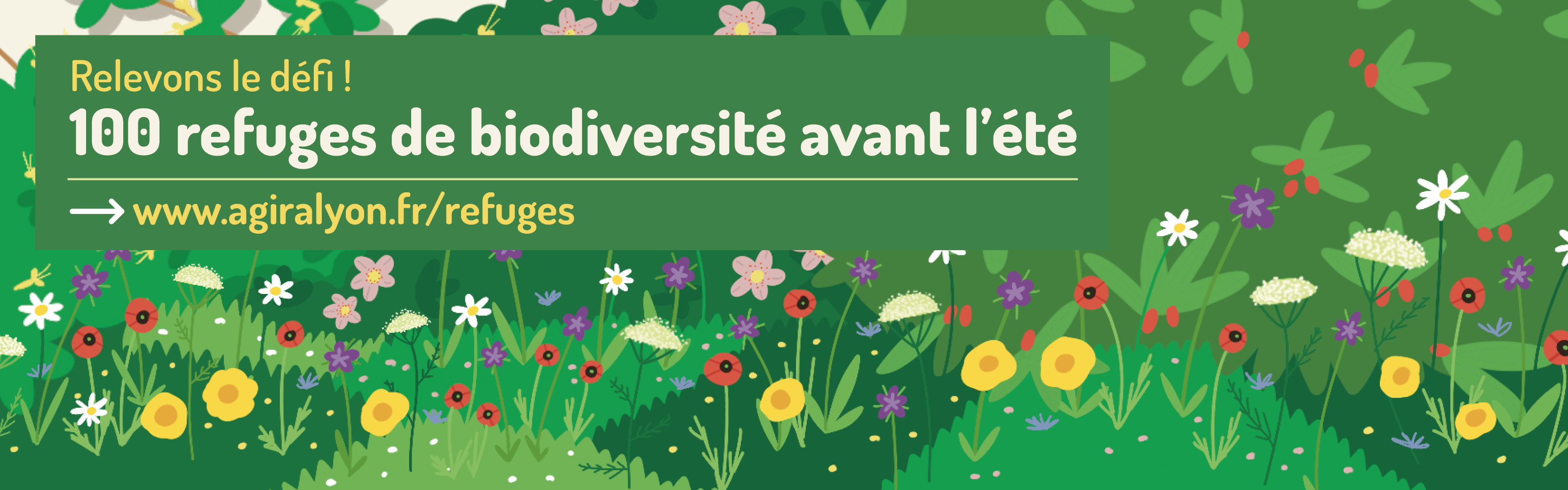 Un défi pour faire éclore 100 refuges de biodiversité avant l'été - Anciela